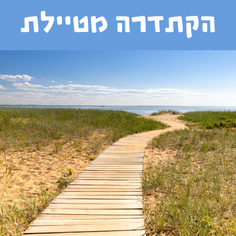 הקתדרה מטיילת- קוביה לאתר (חדש  חע_ר).png