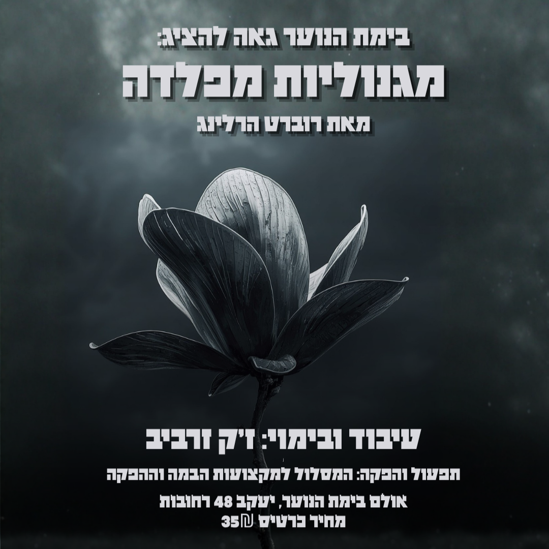 מגנוליות מפלדה.png